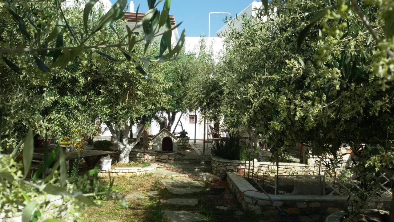 Sunset Studios And Apartments For Adults Over 21 Only Náousa Exteriör bild