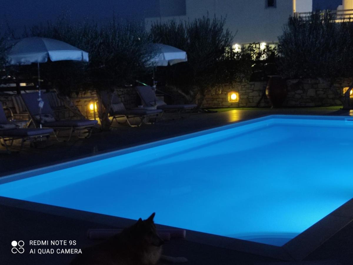 Sunset Studios And Apartments For Adults Over 21 Only Náousa Exteriör bild
